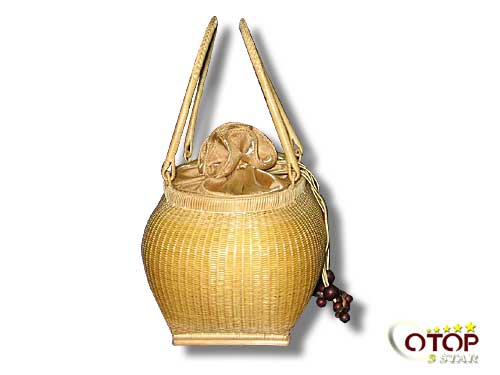 Oval-Shaped Handbag — 2