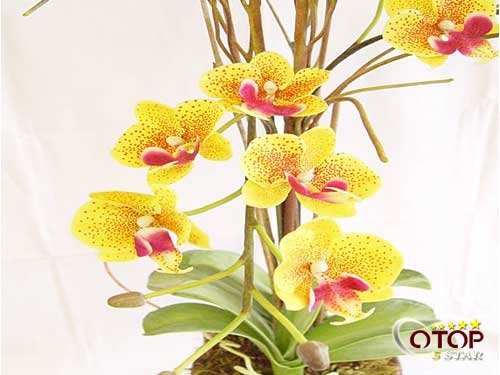 Glue-coated Cloth Artificial Flowers