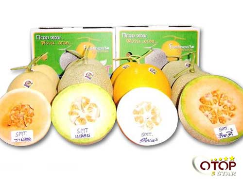 Cantaloup