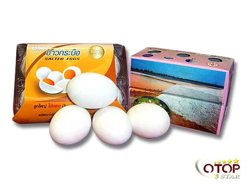 Salted Egg in Saltfield Soil — 3