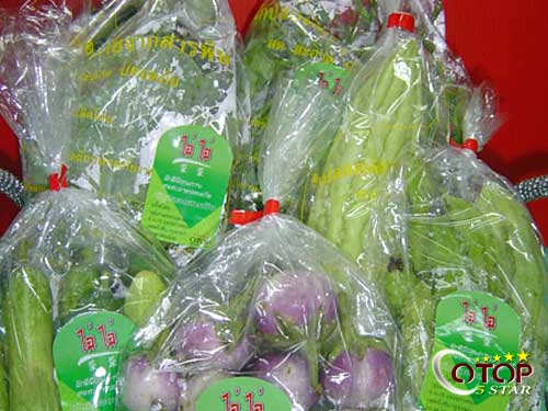 Chemical-Free Vegetables — 3