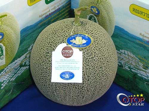 Japanese Watermelon — 3